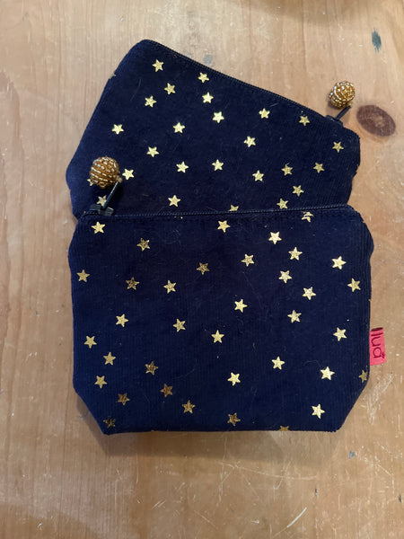 Metallic Makeup bag & coin purses