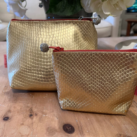 Metallic Makeup bag & coin purses