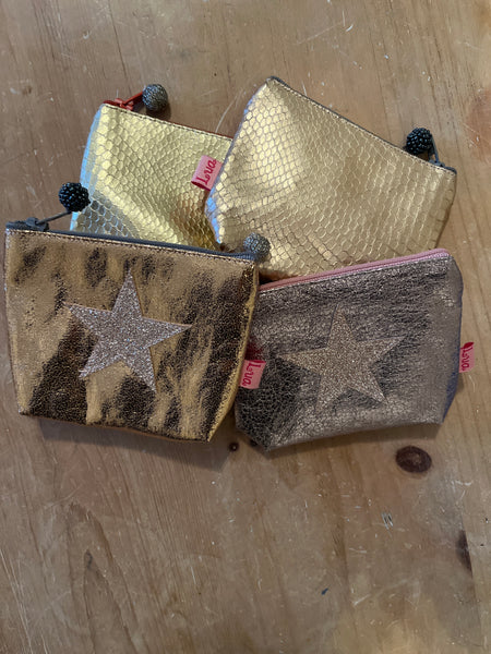 Metallic Makeup bag & coin purses
