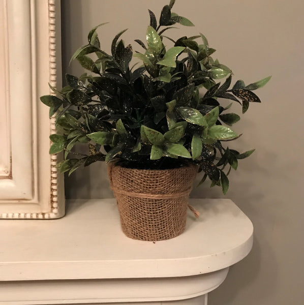 Foliage - various stems