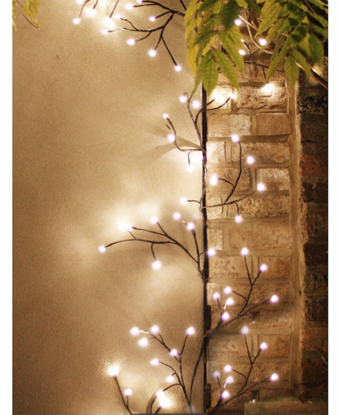 Ivy fairy lights - dual solar and mains powered