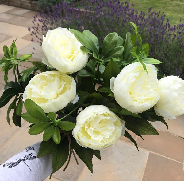 Ivory peonies