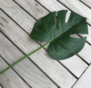 Foliage - various stems