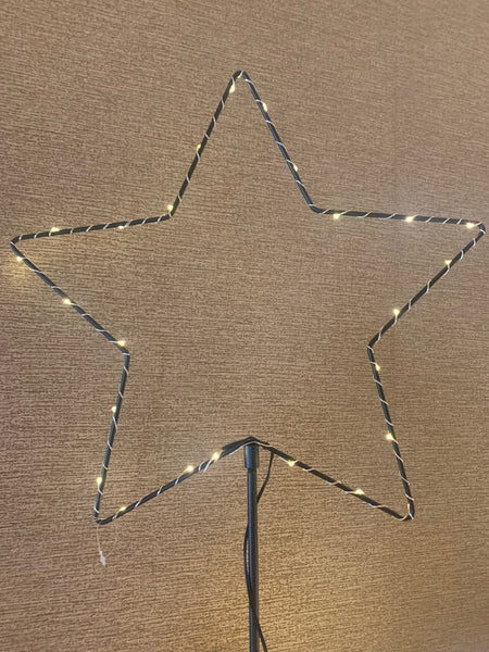 Garden LED star stakes - indoors or outdoors
