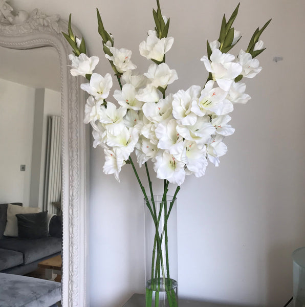 Gladiola - ivory