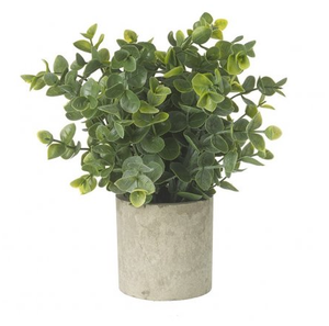 Faux eucalyptus in concrete style pot