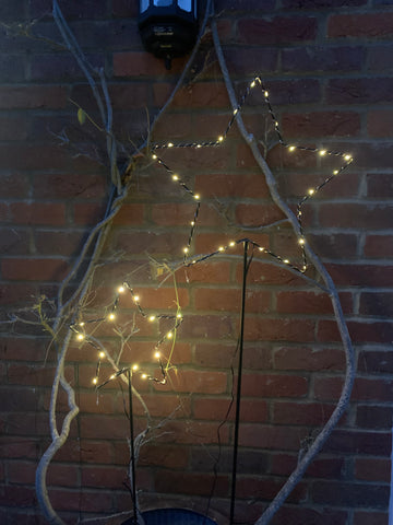 Garden LED star stakes - indoors or outdoors